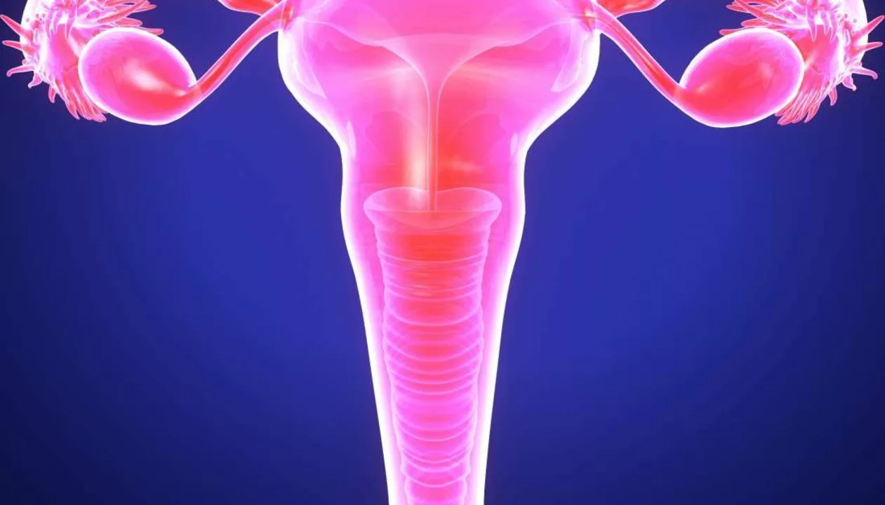 The Connection between Bladder Spasms and Endometriosis